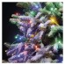 EMOS karácsonyi fényfüzér szett (CNT Standard) 100 LED 10m - multicolor + hálózati átalakító/tápegység 30V 12W