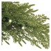 EMOS karácsonyi fénydekoráció  - leszúrható gallyak napelemmel  (50 LED, elemes) 45 cm - meleg fehér