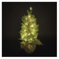EMOS karácsonyi fénydekoráció időzítővel - karácsonyfa 50cm (30 x LED) - meleg fehér 